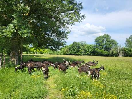 La Ferme à Roulettes