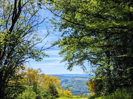 Trail du Mont-ceix