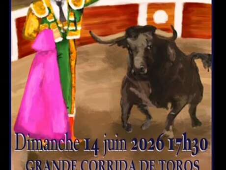 Corrida 2026