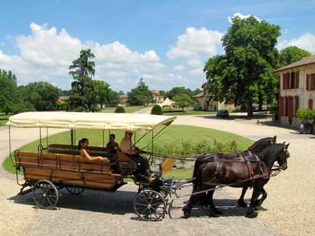 Les calèches du Château Lanessan