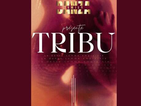 Spectacle de danse – Danza “Tribu”