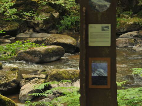 Visite guidée du musée Hôtel Lépinat