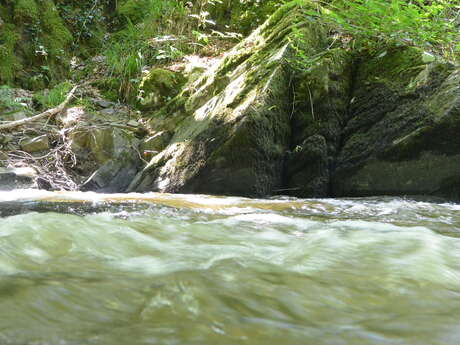 Pêcher dans les Gorges de la Loue - A Saint Médard d'Excideuil / Ganduras