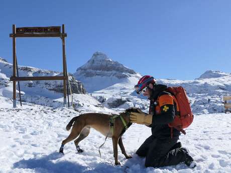 Démonstration de recherche avec un chien d’avalanche