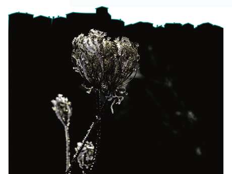 Noir et Blanc, mais en couleur