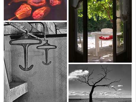 Musée G?Schoen - Expostion  de photographies et gravures Masson et Bourgeois - Sept 2026
