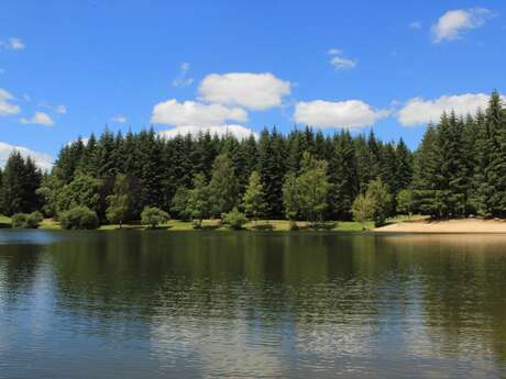 Etang de la forêt : baignade