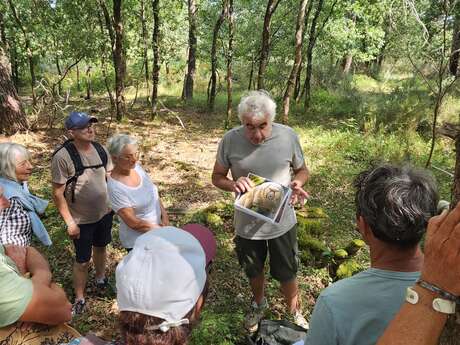 Les découvertes de Monta : Les secrets de la forêt médocaine