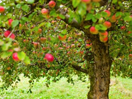 Secrets et savoir-faire de la Ferme du Léché