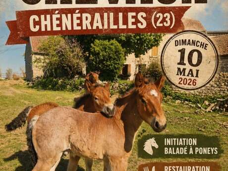 Foire aux chevaux