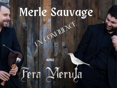 Festival du Merle Sauvage en Confluence