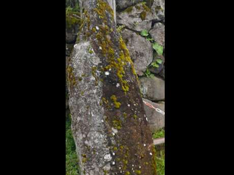 Menhir de Plagne