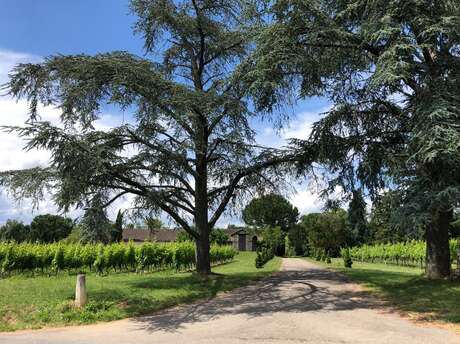 Château la Ressaudie