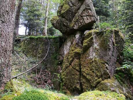Circuit Pédestre N°59 CC : "La Roche branlante"