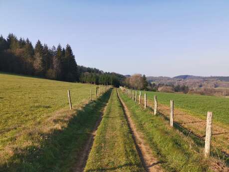 Circuit N°63 CC : Sentier "Histoire et Patrimoine"