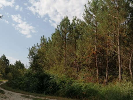 Boucle du Cluzeau - Lunas