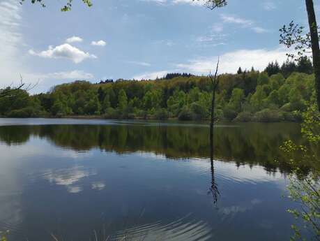 Etang de Rochat