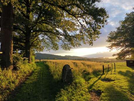 Circuit Pédestre N°5 CC : "D'eau et de pierres"