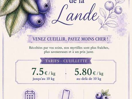 Les myrtilles de la Lande