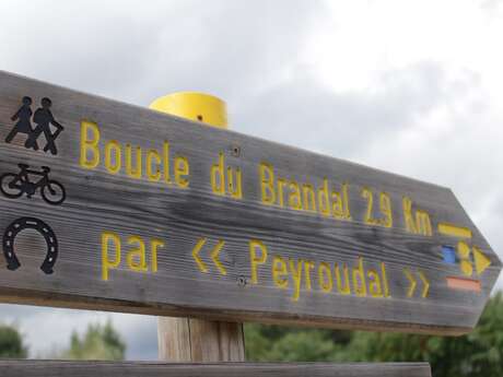 Boucle du Brandal - Sainte Foy des Vignes - Ginestet