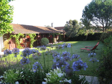 Chez Bella Côté Bassin - Chambres d'hôtes