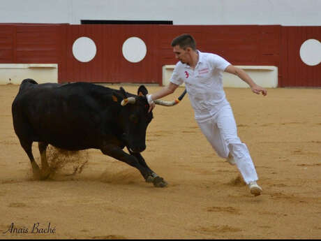 Concours de cocarde