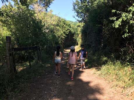 Boucle de Alles sur Dordogne