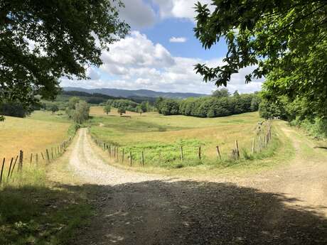 Gravel vert n°1 - Le Marsacois