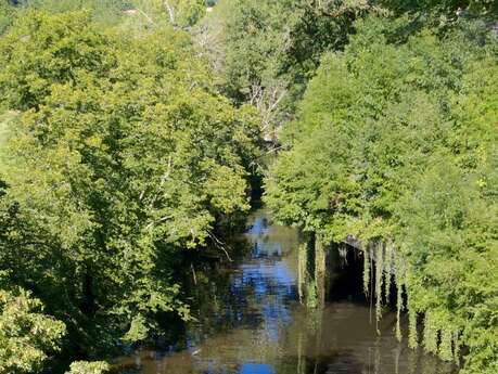 Les Moulins de la Dronne en canöe