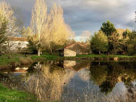 Gîte BoGuss du Parc Canin de la Rebertière