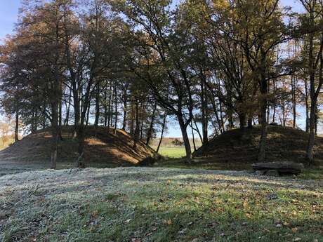 Mottes castrales de l'an Mil