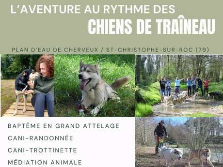 Immersion mushing