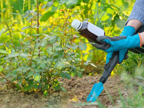 Atelier de permaculture