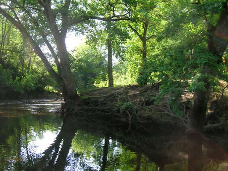 Sortie nature