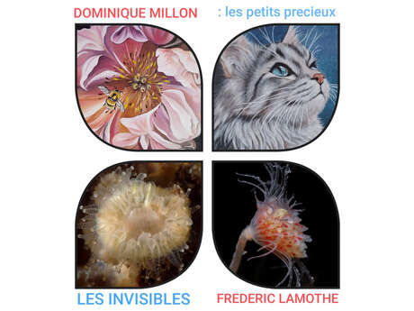 Exposition de peintures et photographies