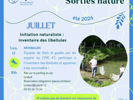 Initatiation naturaliste : à la découverte des papillons !