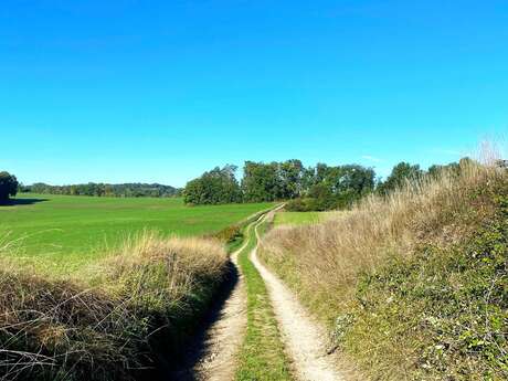 Boucle de La Chapelle Faucher