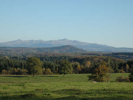 VTT - La Méouzette - 11 km - circuit 64