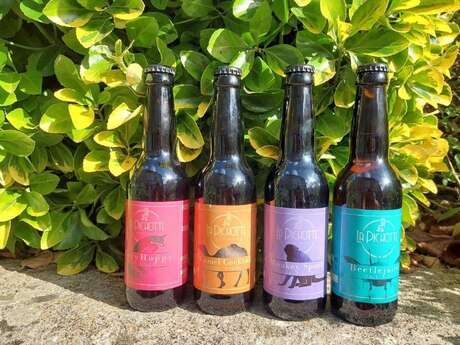 Les secrets de la Brasserie La Pichotte à Moussac-sur-Vienne