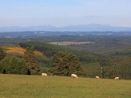 Le chemin des chapelles