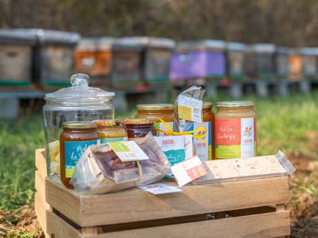 Rencontre avec nos amies les abeilles de Persac