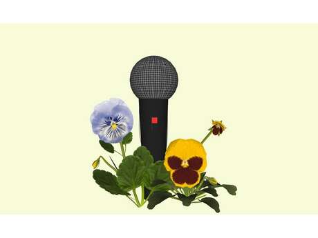 Exposition au Bel Ordinaire: La Barrière de la langue