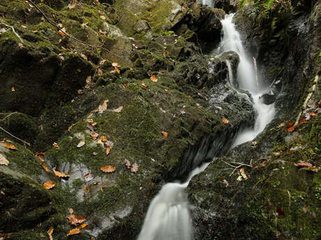 Rando Cascade de Neyrat