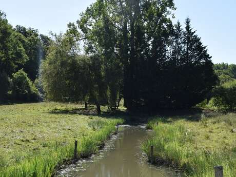 Boucle du BosVert