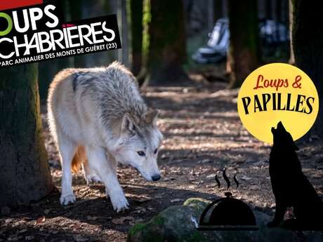 Loups et papilles