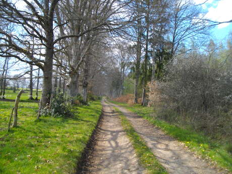 Hautefeuille Track