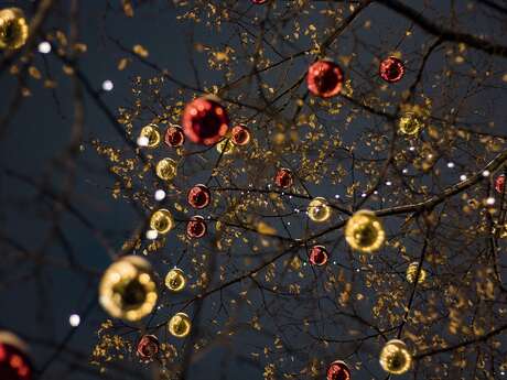 Décoration des sapins de Noël