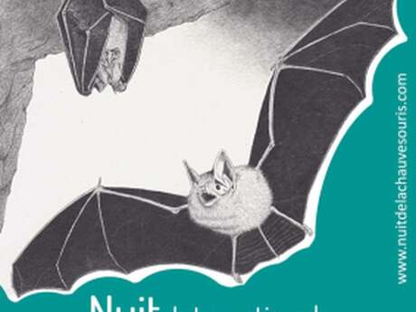 Nuit de la Chauve-Souris dans la Vallée du Thaurion
