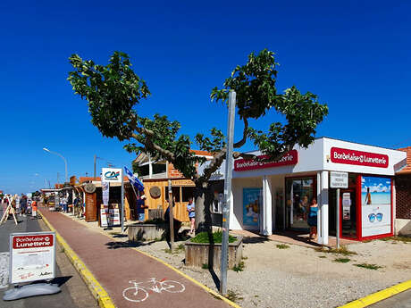 Bordelaise de Lunetterie BDL Distribution