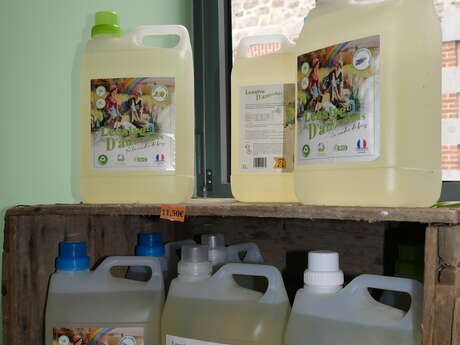 Eco-Style